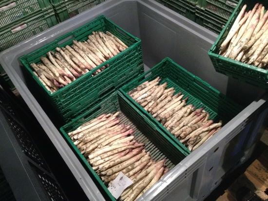 Witte Asperge in Janny Box
